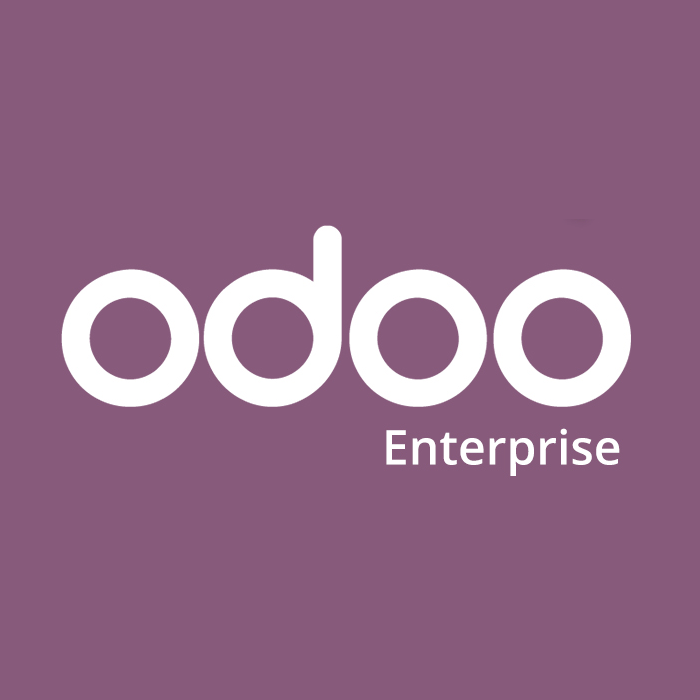 Odoo Studio Enterprise V12